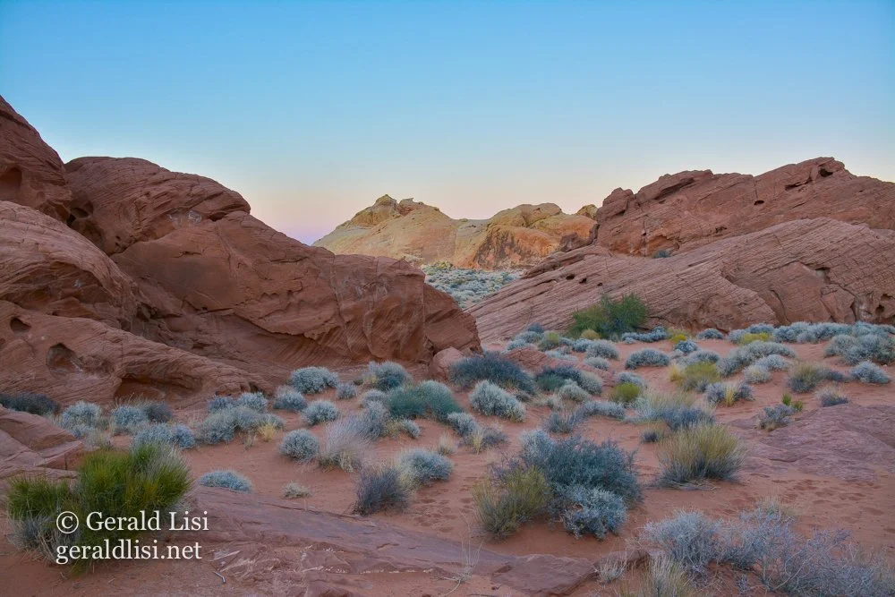 vof landscape-49.jpg