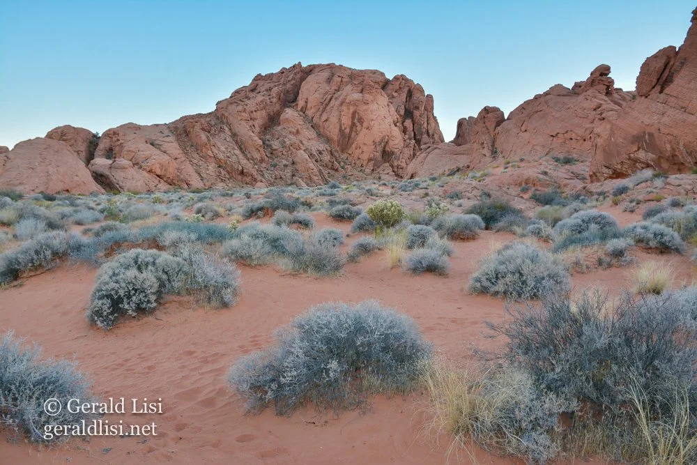 vof landscape-47.jpg