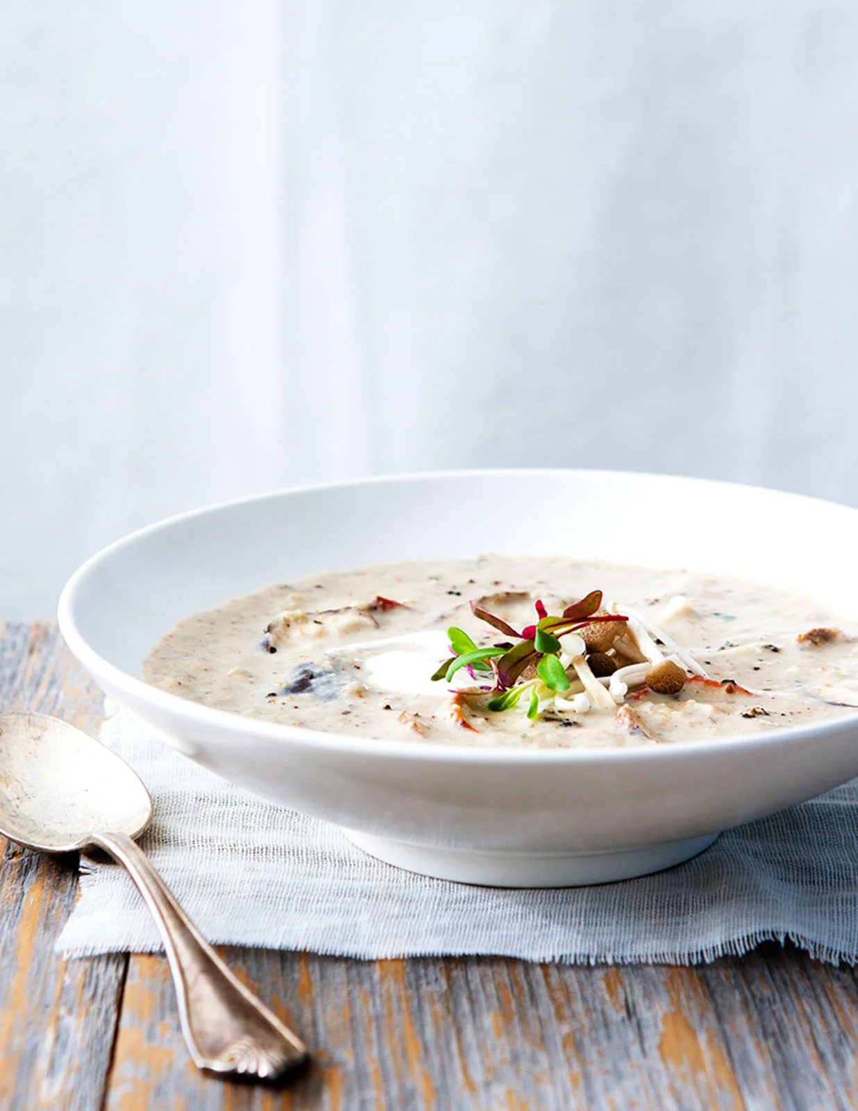 CreamOfMushroomSoup_v2.jpg
