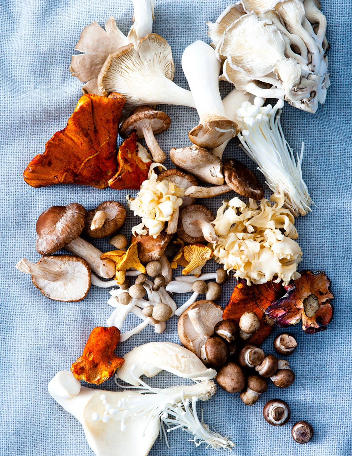 Mushrooms.jpg