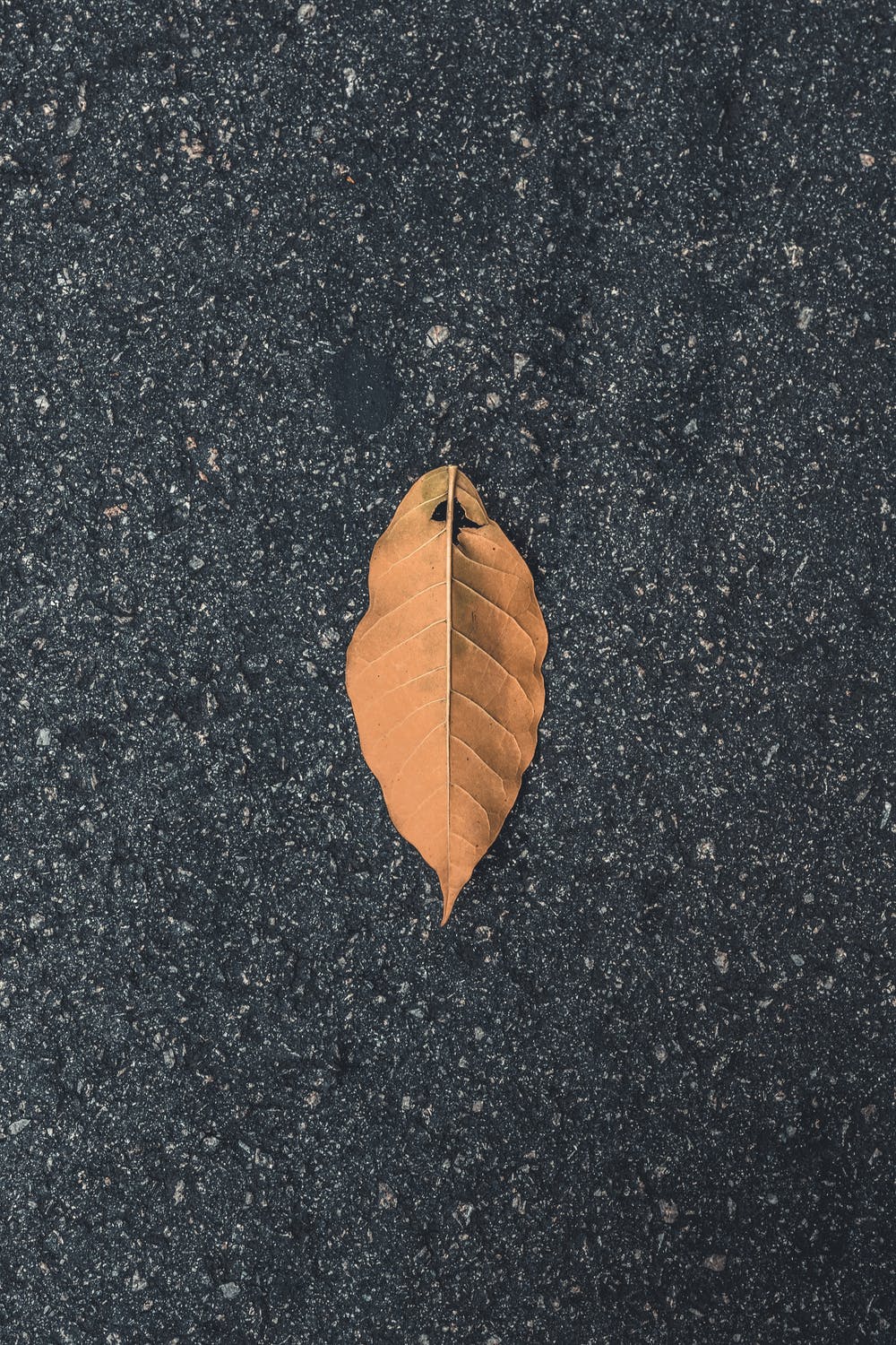 Parking Paving Perfection