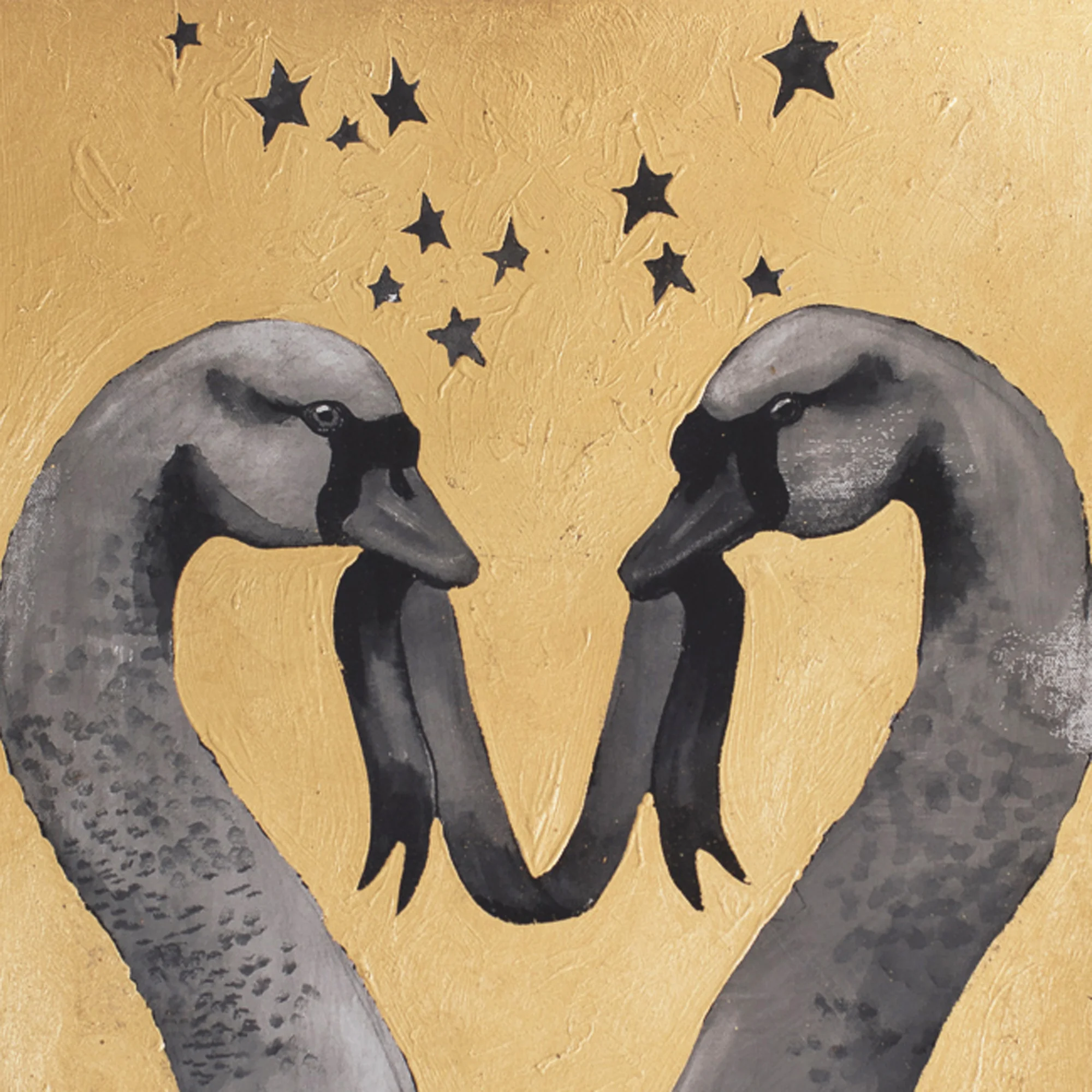 SAA Kings Swans2.jpg
