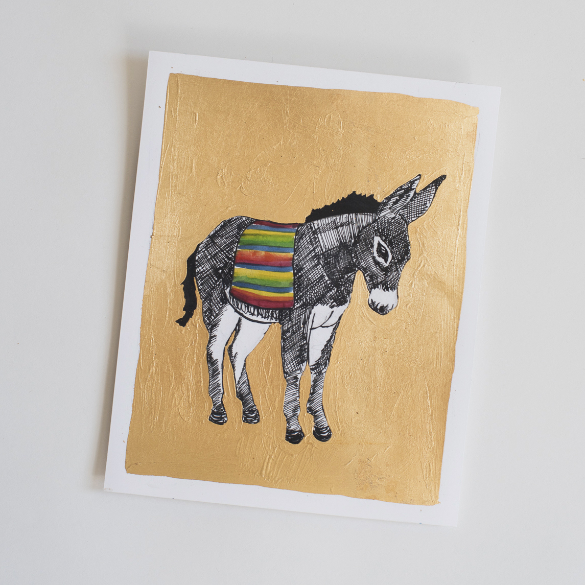 bashful donkey