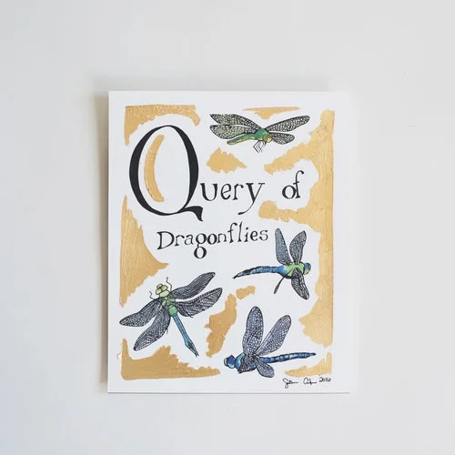 Q - Query of Dragonflies