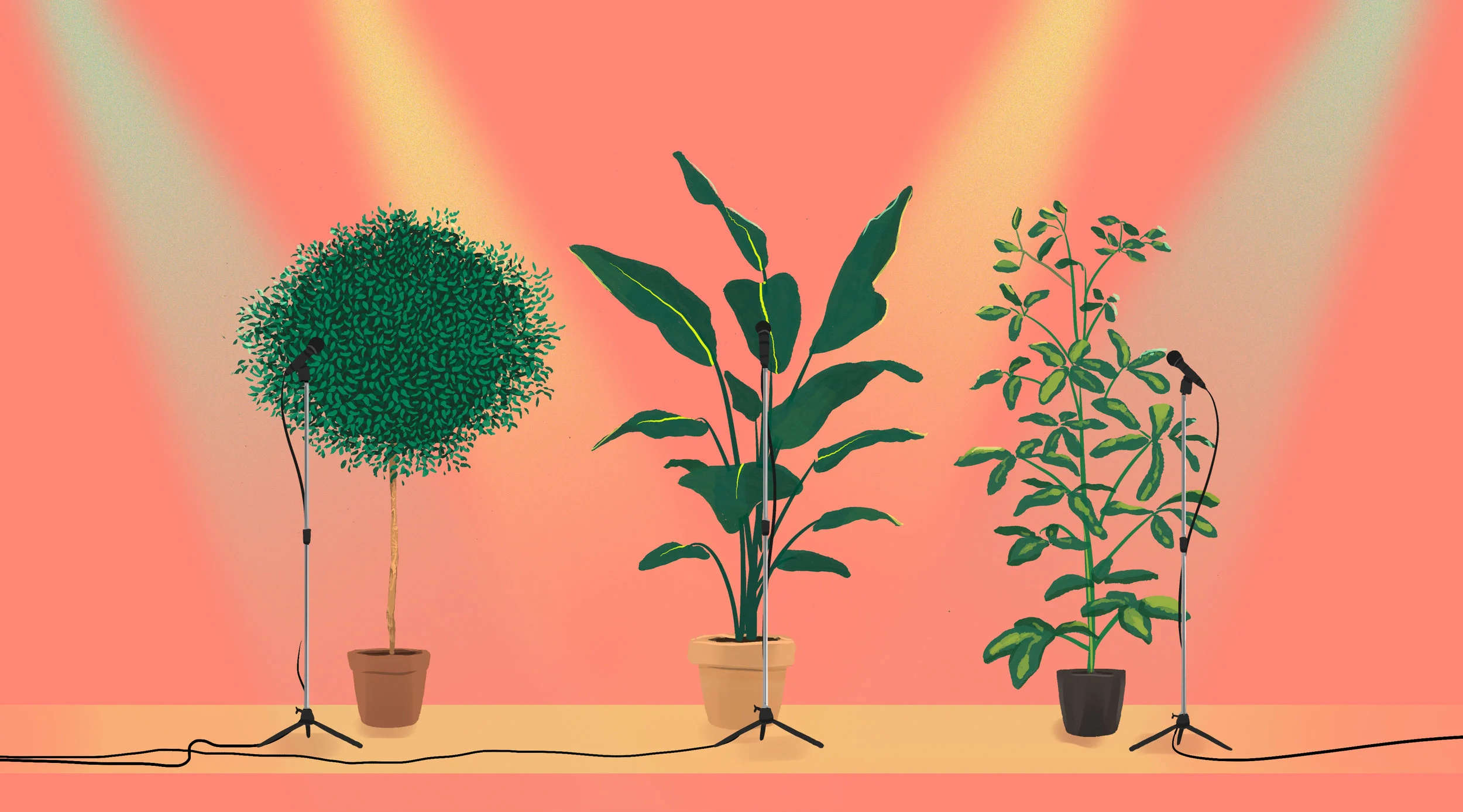 Plants that Sing