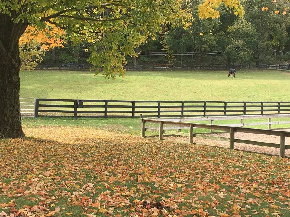  Our stables in Wilton are nestled within 70 acres of trails and farmland. With indoor and outdoor arenas and a newly constructed boarding facility, Jewel Court Stud is able to continue training at the highest level during the summer months. 
