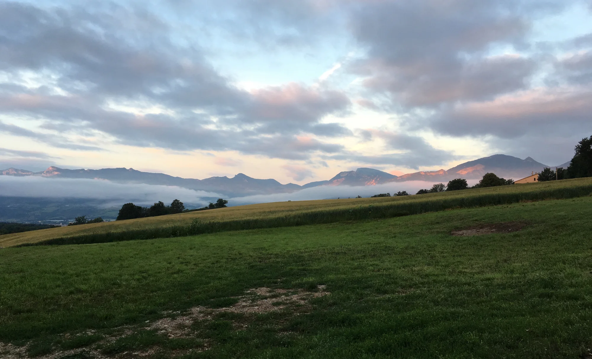 Morning view
