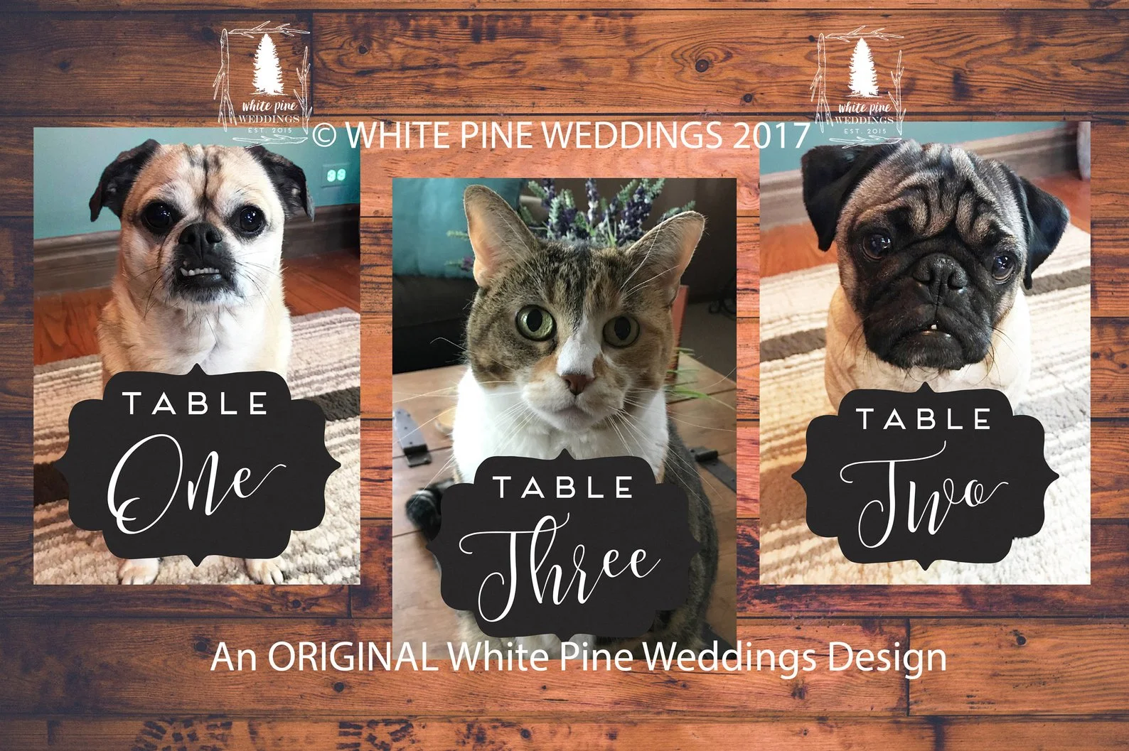 White Pine Weddings on Etsy makes adorable pet table numbers for weddings!!