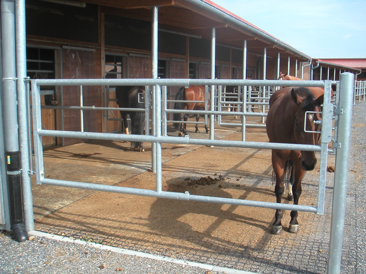 Grid used in a paddock