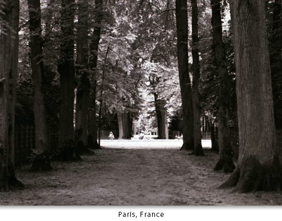 paris06.png