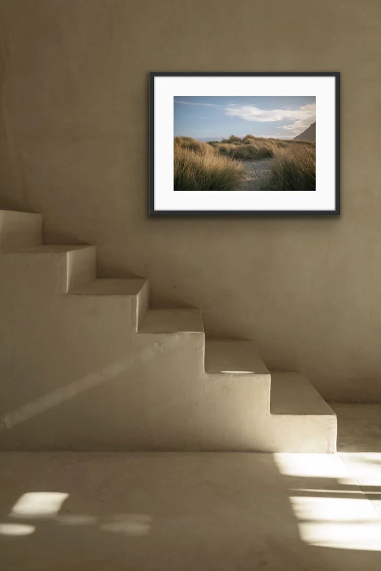 IMG_76E39B4EE00B-1 2.jpeg