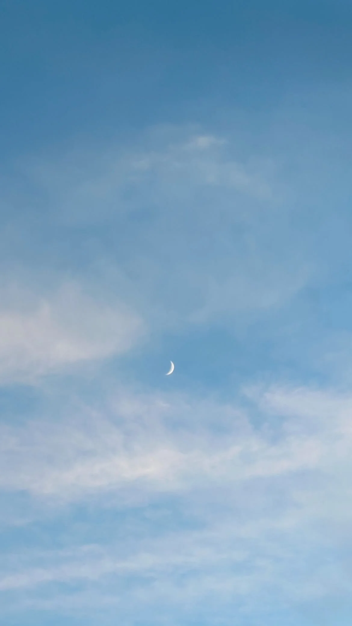 49BFD670-74E4-4F82-AB5E-D4E3B5E7D8F6.JPG