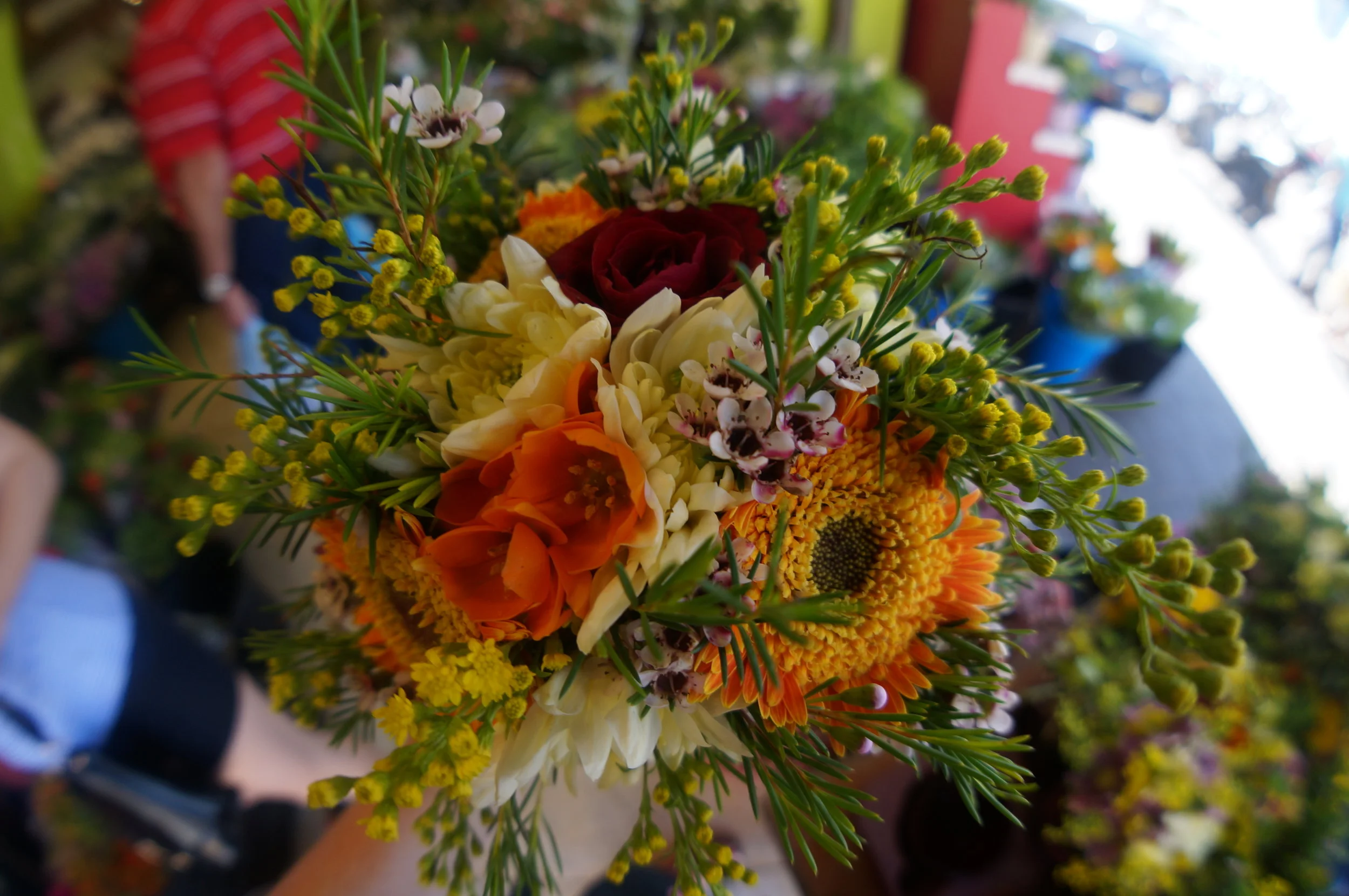 DSC03247.JPG