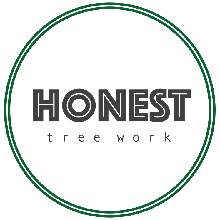 Honest Tree Work