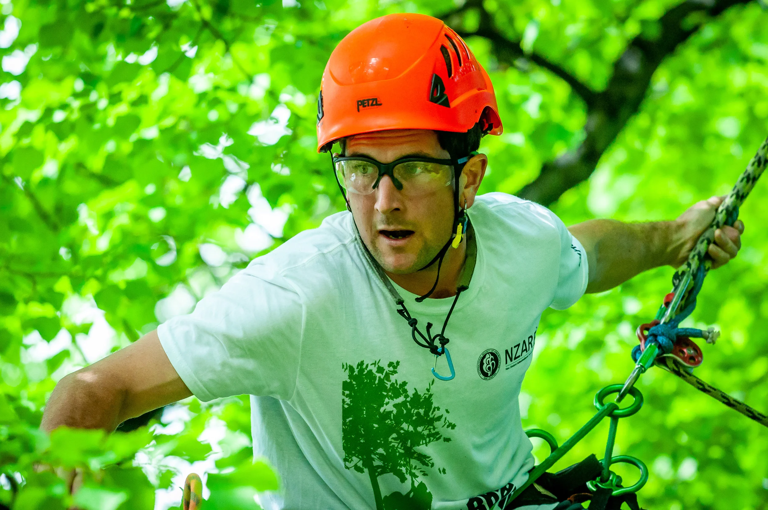 2018 New Zealand National Tree Climbing Competition (Finished Second in NZ).