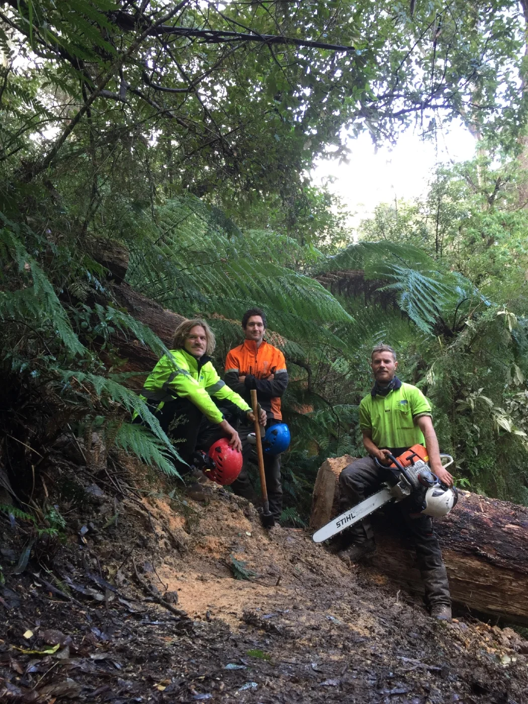 Clearing storm damaged bush-tracks in Apollo Bay while working with Reynolds Tree Care.