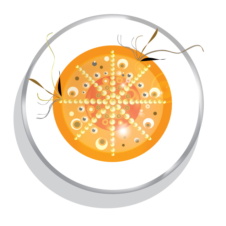   Teratomata -Matter of Taste&nbsp; &nbsp; Digital print on metal 