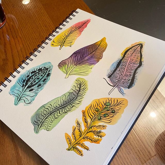 Gloomy day, cheery feathers #feathers #plumchesterbrushpen #watercolor #watercolorfeathers