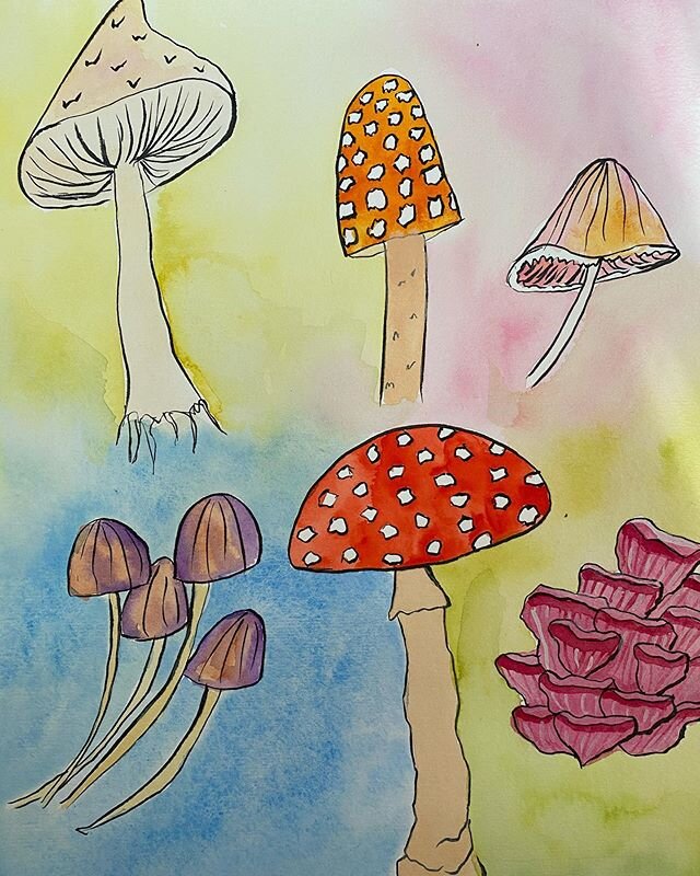 Weekend personal work. #mushrooms #fungi #fungilove🍄 #watercolor #mushroomsofinstagram #fungiofinstagram