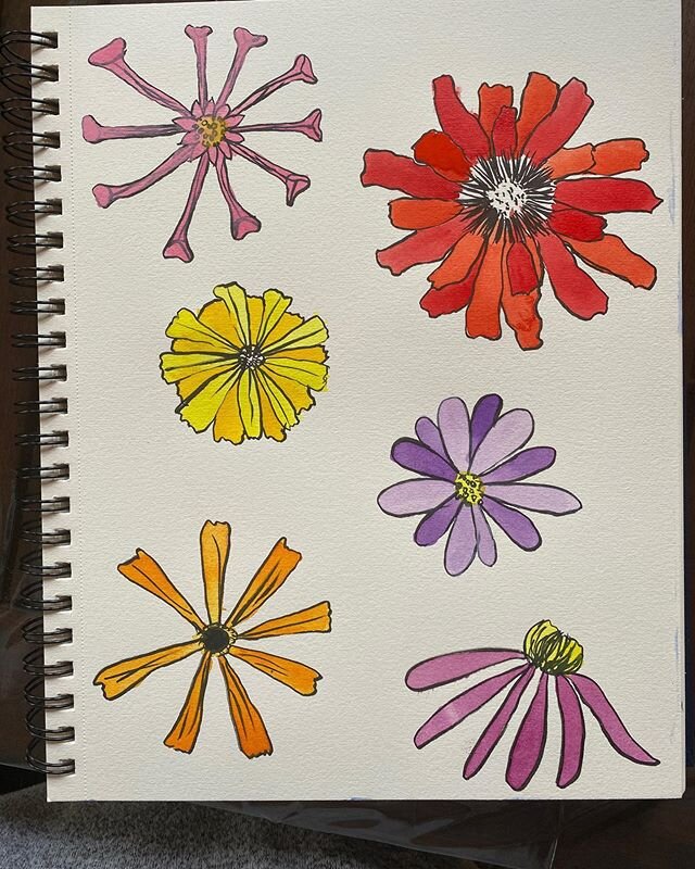 Daisies watercolor in sketchbook. #daisies #florals #flowerillustration #floralillustration #daisywatercolor