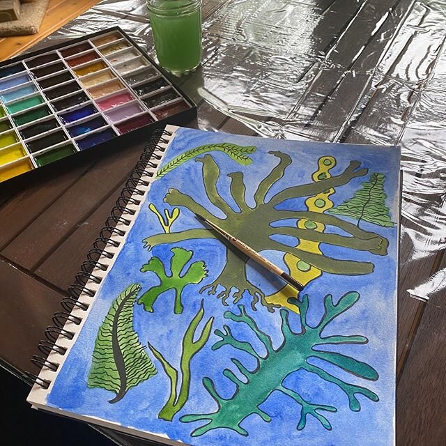 Seaweed watercolor in my sketchbook. #seaweed #sketchbook #watercolor #watercolorsketchbook #sealife #sealifeart #illustratorsoninstagram