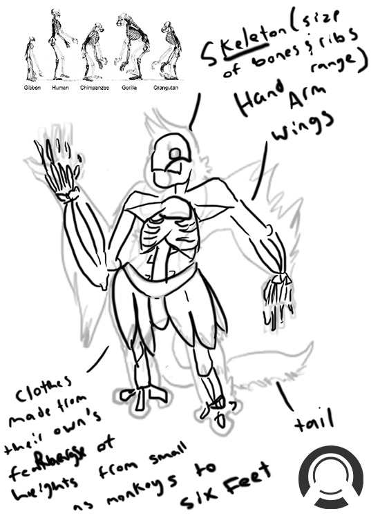 Going into the anatomy of the Wugoys