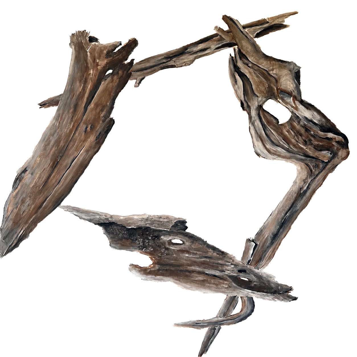 driftwood-cleaned.jpg