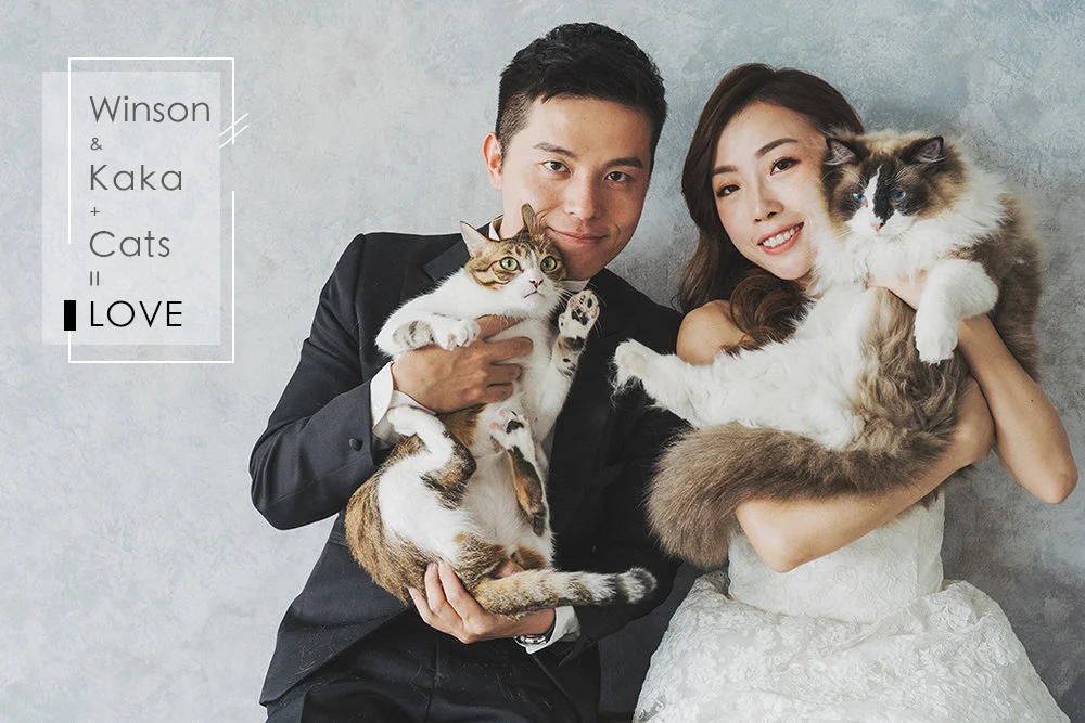 blogcover13 拷貝.jpg