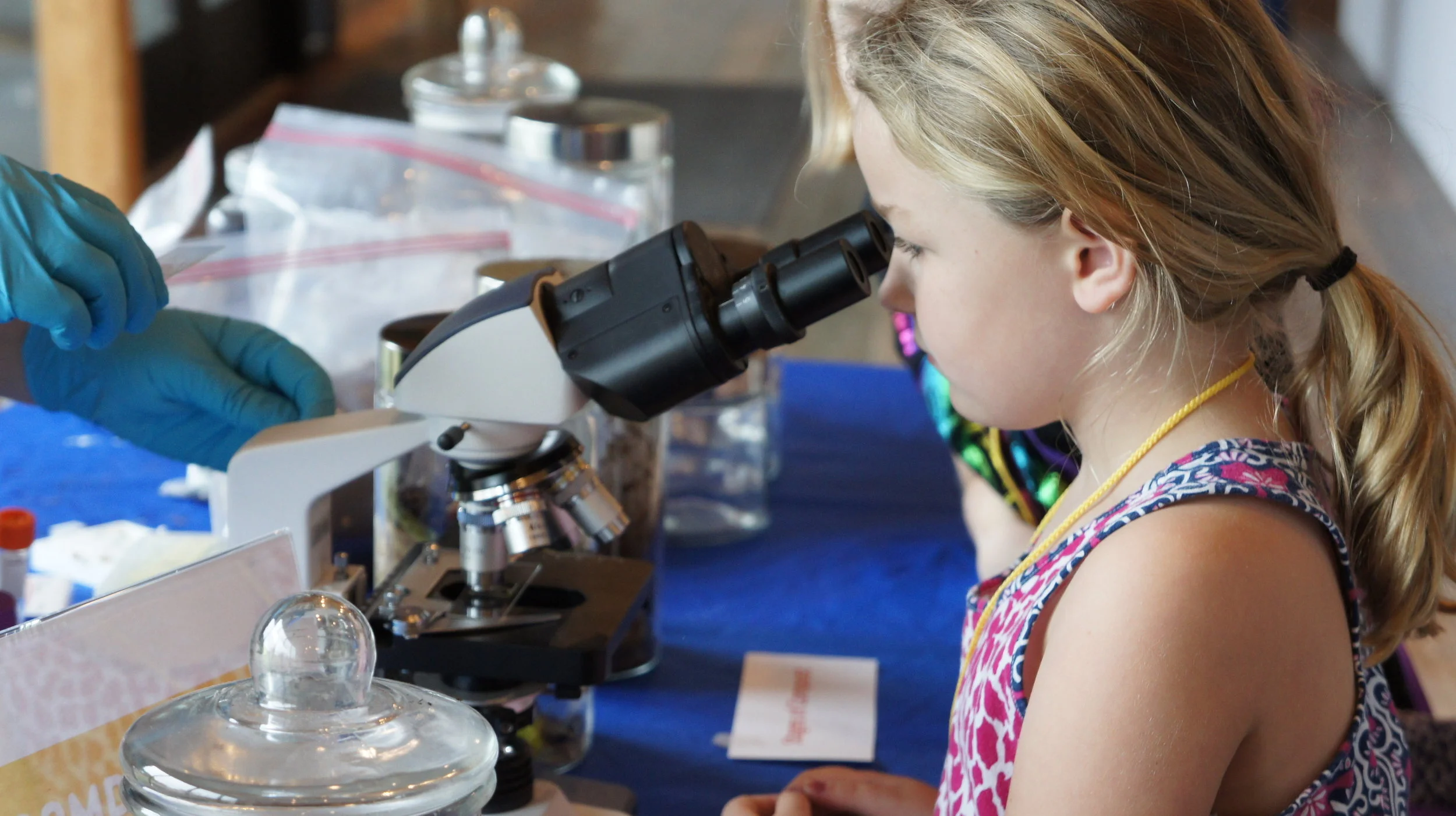 Homeschool Day- Second Wednesday of the Month
