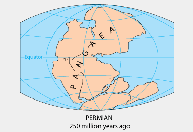 Can you see the outlines of our modern continents?