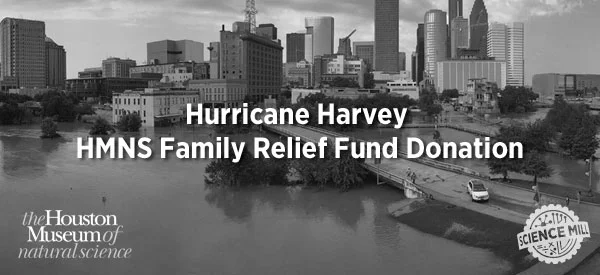 hmns_harvey.jpg
