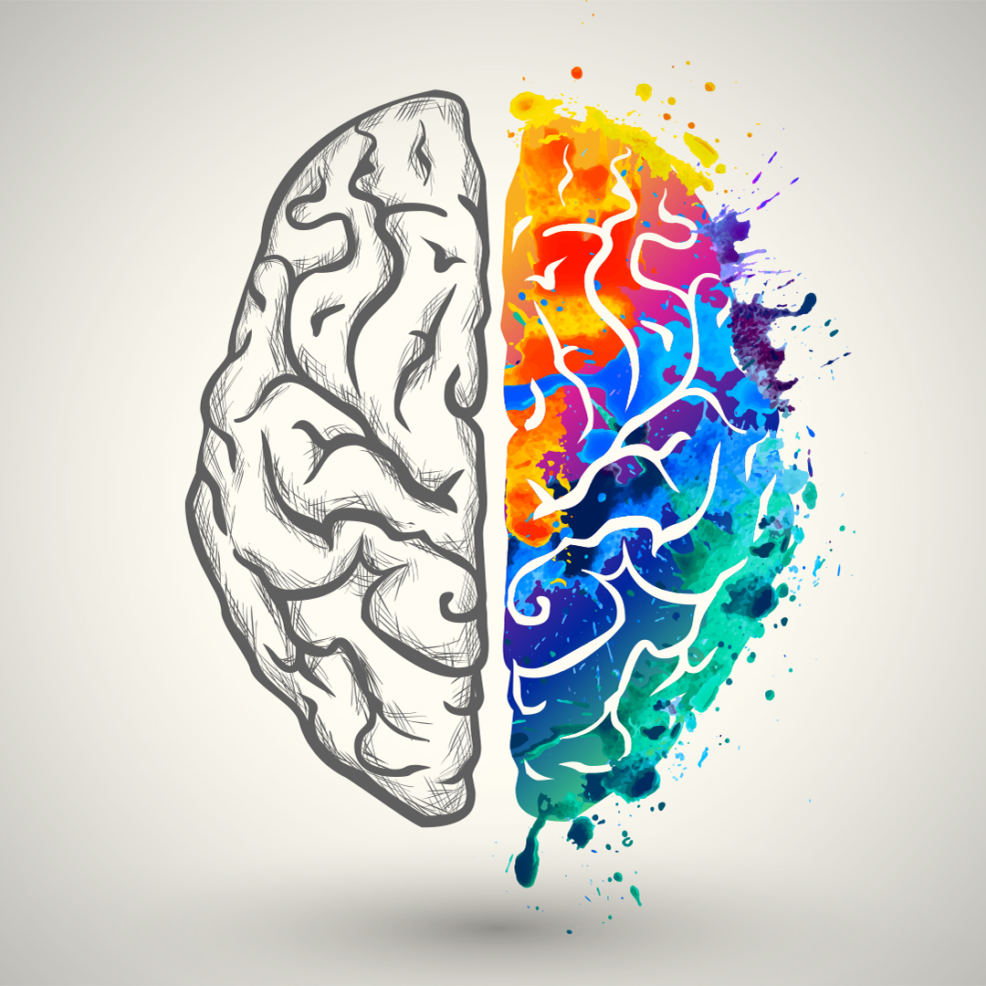 left side of the brain left side of the brain