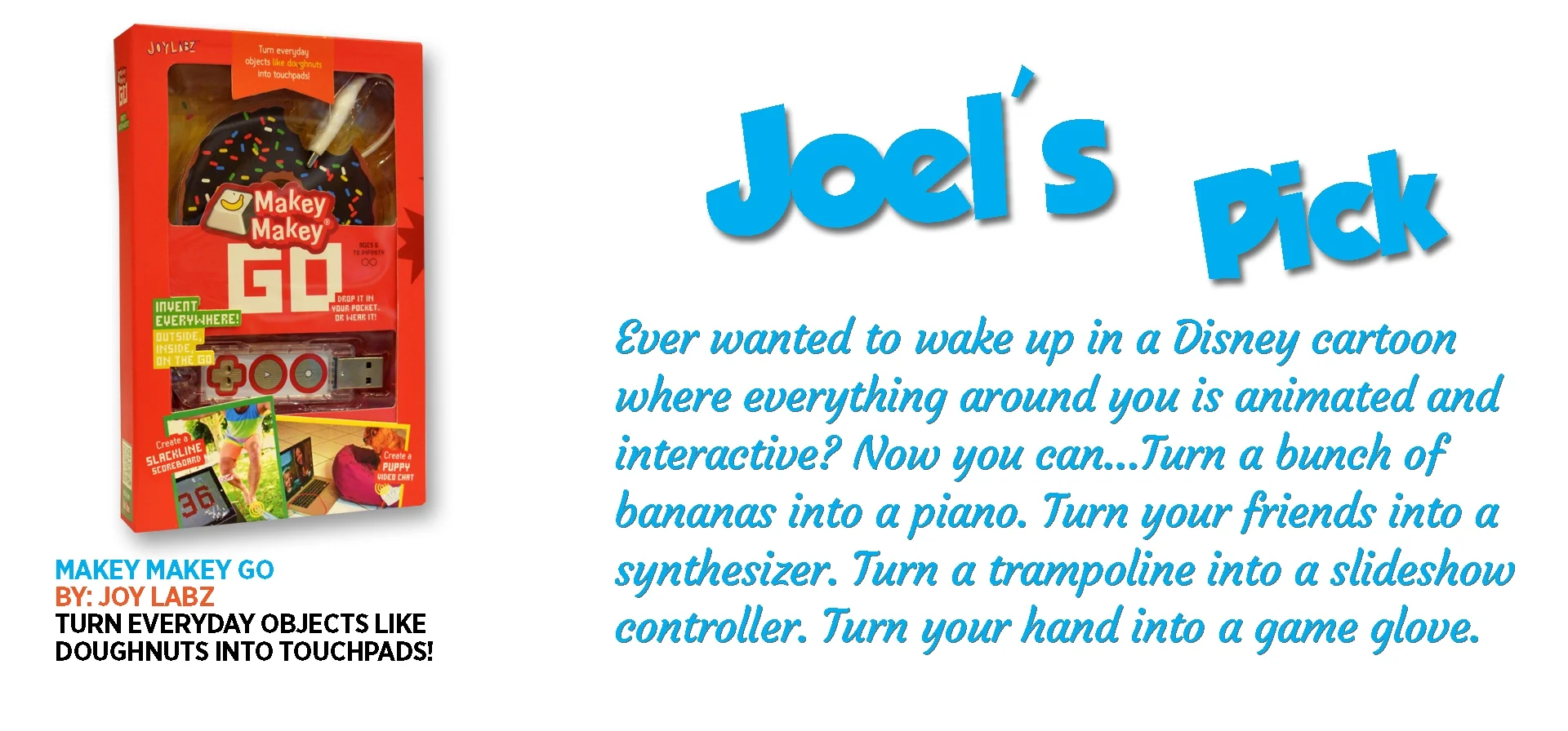 joel_pick.jpg