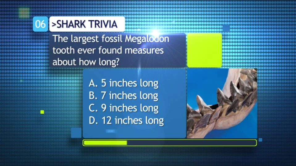 Was it a Sharknado? Local STEM Museum Swimming in Sharks! — Science Mill