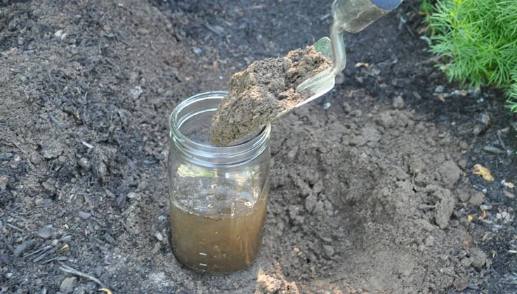 soil particles.jpg
