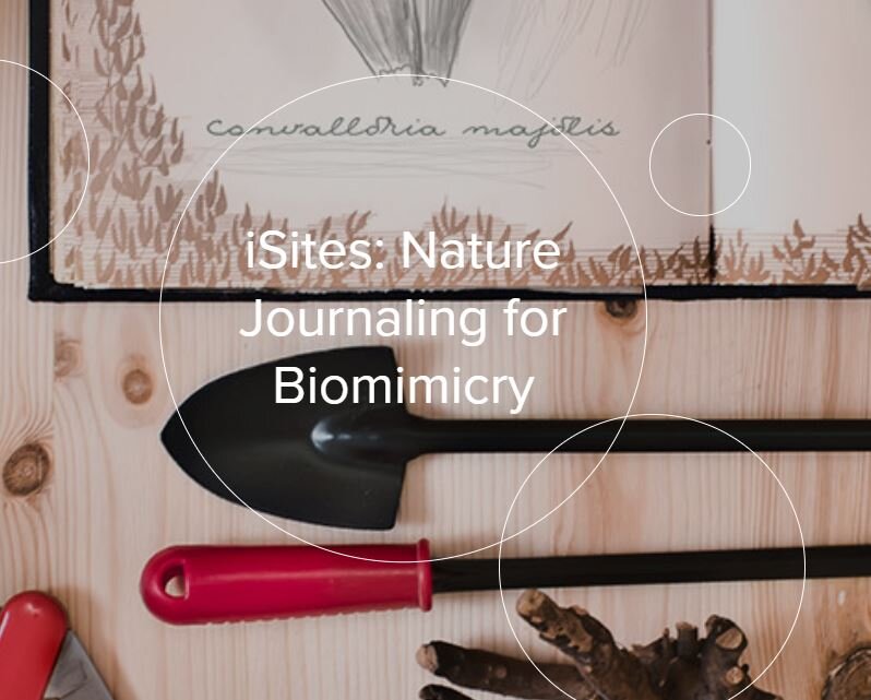 iSites: Nature Journaling for Biomimicry