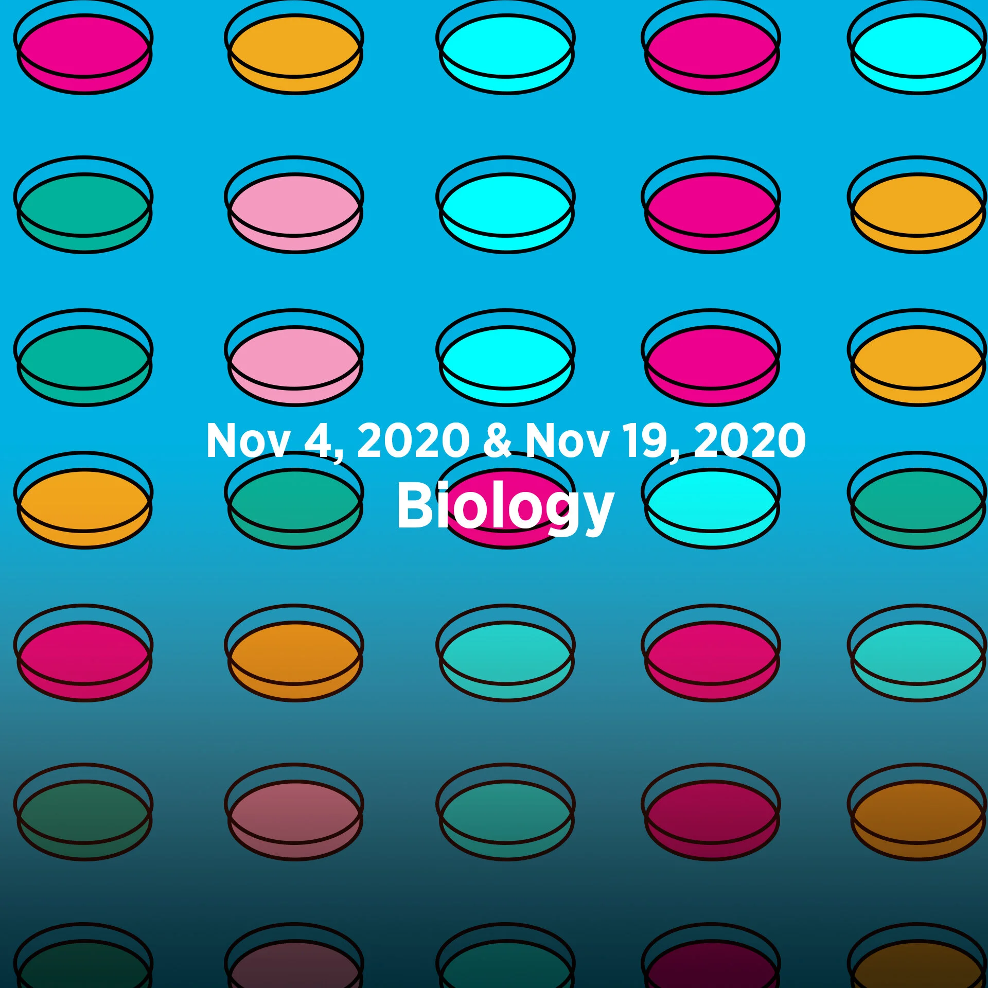 November 19 Homeschool Day- Biology