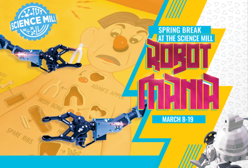Spring Break Robot Mania
