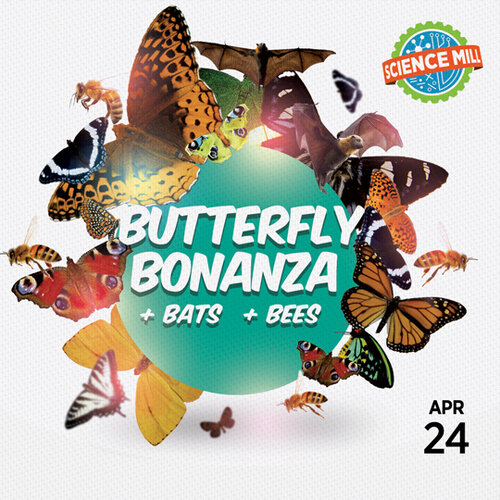 Butterfly Bonanza (+ Bats & Bees)