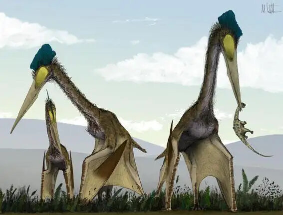  Some sharp-toothed pterosaurs may have snapped up baby dinos. (artist: Mark Witton) 