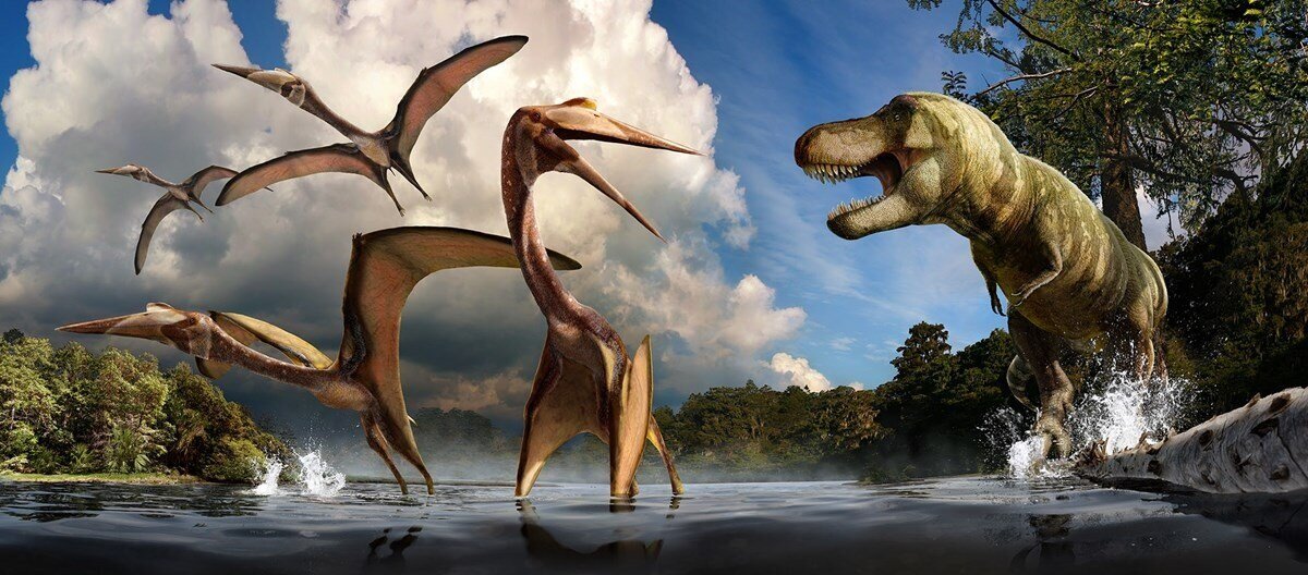 Pteranodon was a giant flying reptile which lived during