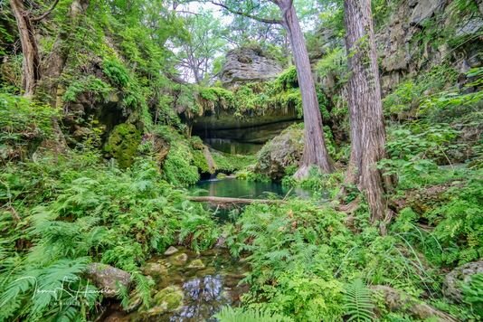 Westcave Outdoor Discovery Center &amp; Preserve (Dripping Springs)