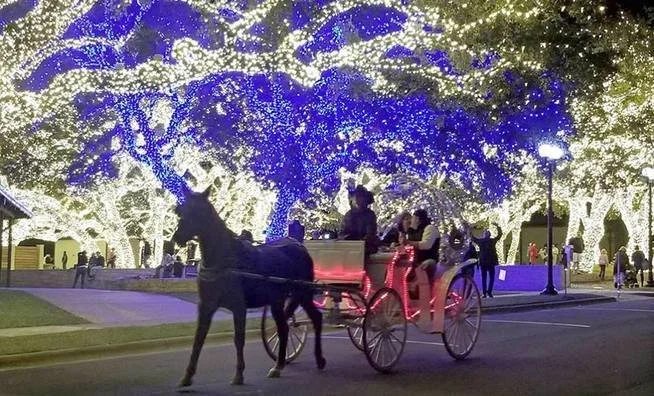 Holidays in the Hill Country with kids