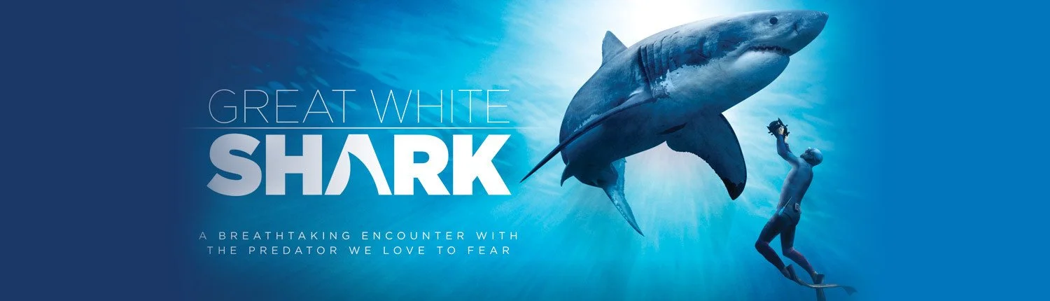 Now Playing: Great White Shark 3D