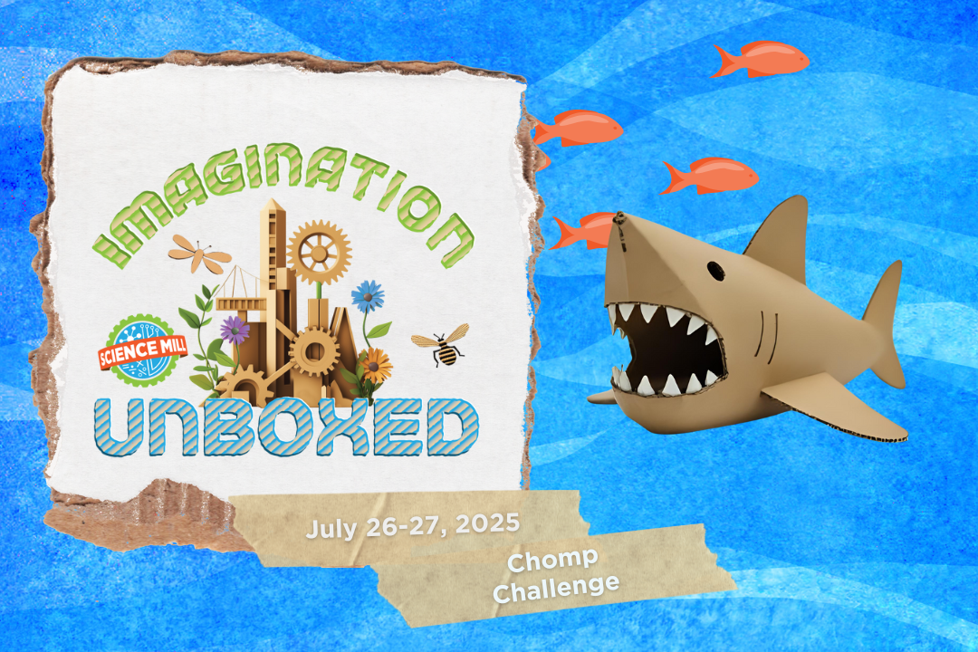 Imagination Unboxed: Chomp Challenge