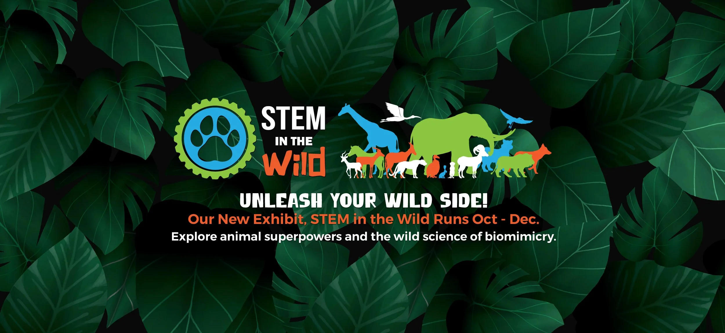 STEM-in-the-Wild-Web-Banner.jpg