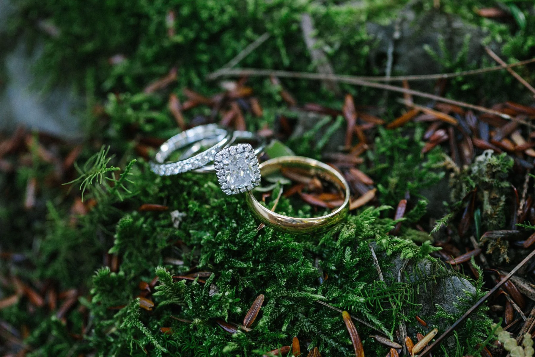 minnesotaweddingphotographer_2562.jpg