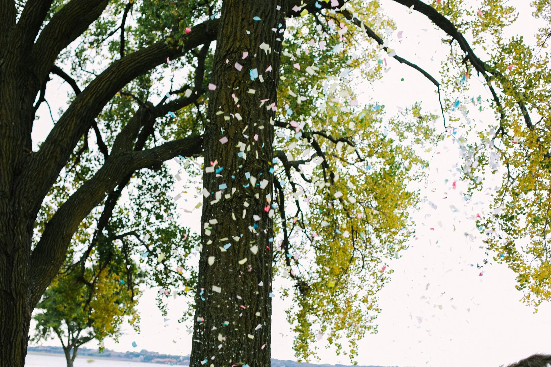 minnesotaweddingphotographer_2714.jpg