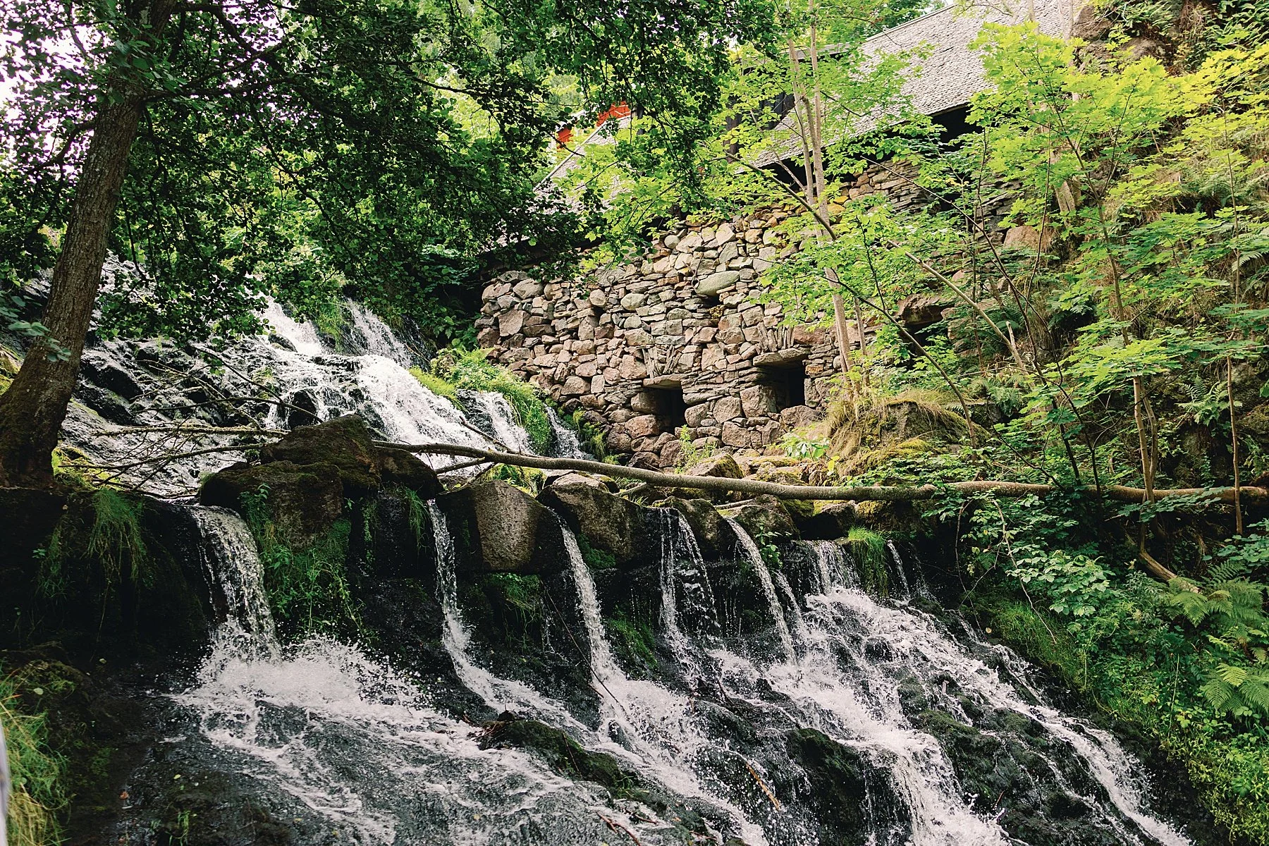 bestweddingphotographertwincities_1028.jpg