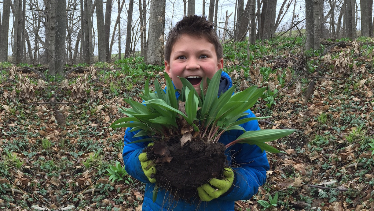 Blog Mom's Design Build